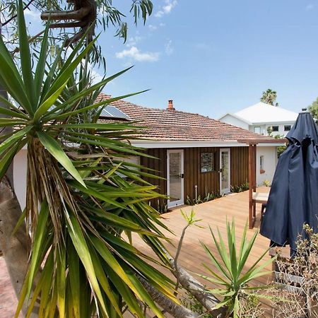 Dingo At White Gum Lodge Fremantle Exterior photo